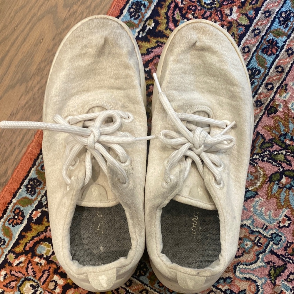 Allbirds wool sneakers